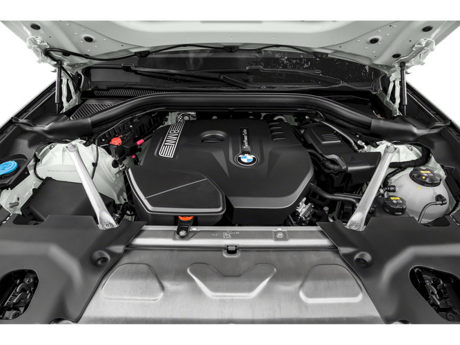 2019 BMW X3 sDrive30i in Houston, TX - Mac Haik Auto Group