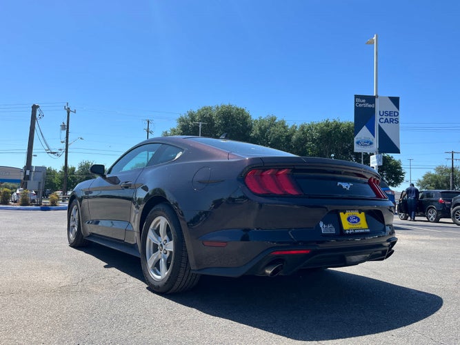 2022 Ford Mustang EcoBoost in Houston, TX - Mac Haik Auto Group