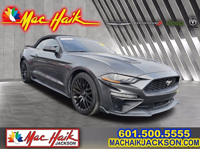 2019 Ford Mustang Base in Houston, TX - Mac Haik Auto Group