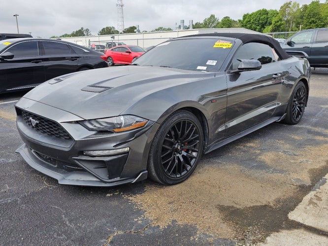 2019 Ford Mustang Base in Houston, TX - Mac Haik Auto Group