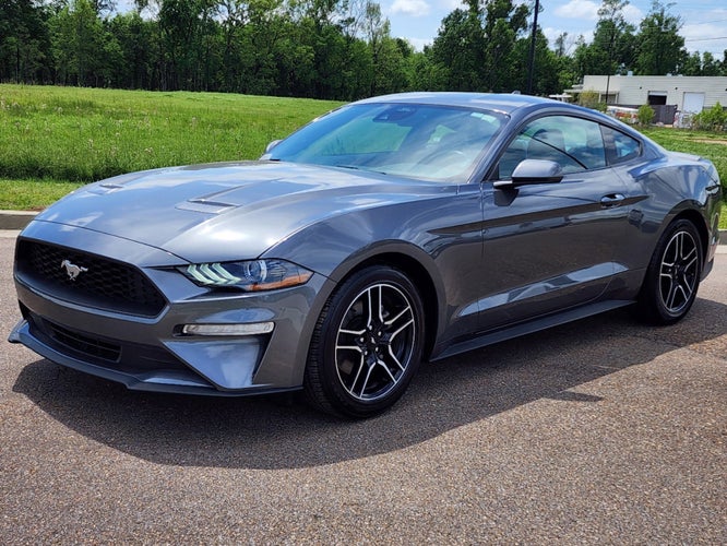 2023 Ford Mustang Base in Houston, TX - Mac Haik Auto Group