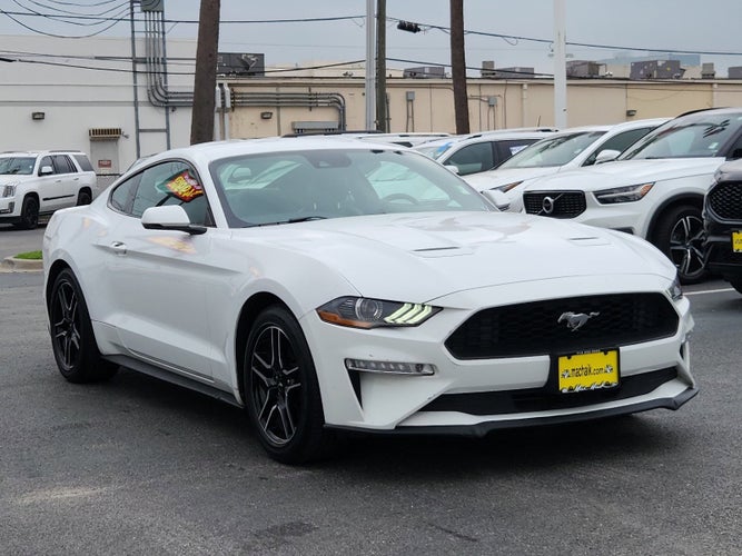 2018 Ford Mustang EcoBoost Premium in Houston, TX - Mac Haik Auto Group