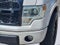 2013 Ford F-150 Platinum
