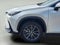 2024 Lexus NX NX 250