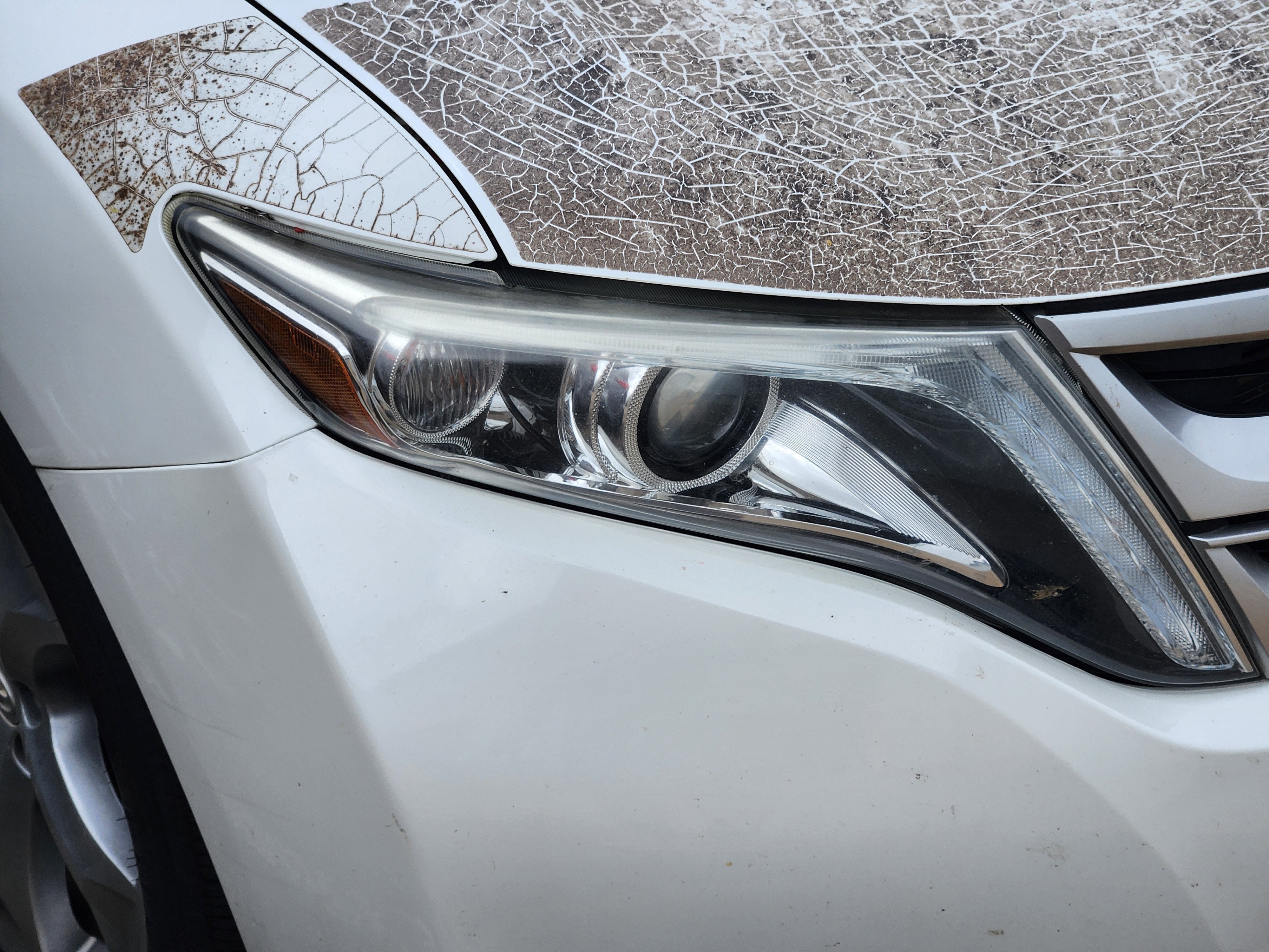 2013 Toyota Venza LE