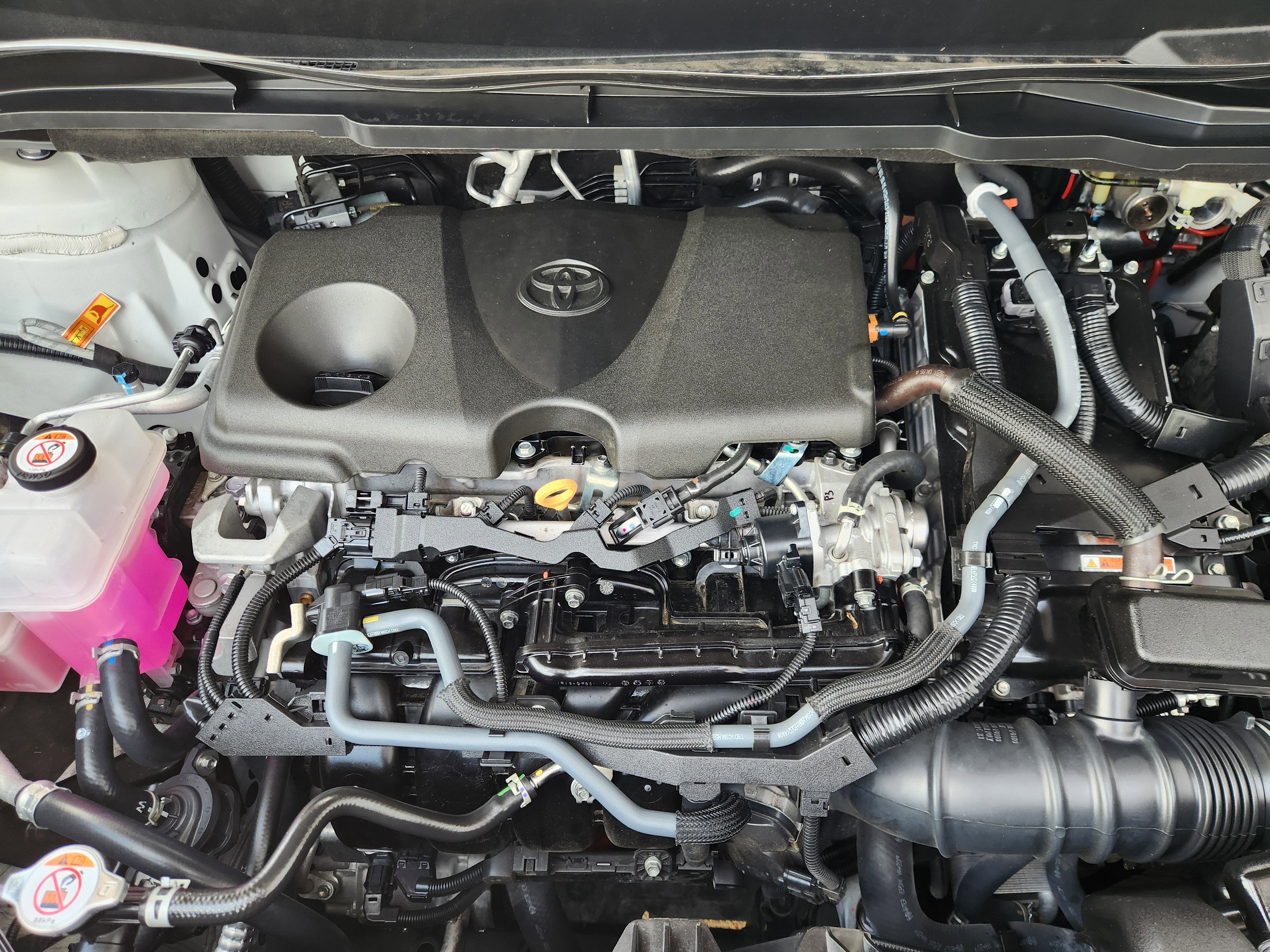 2025 Toyota Sienna XLE 8 Passenger