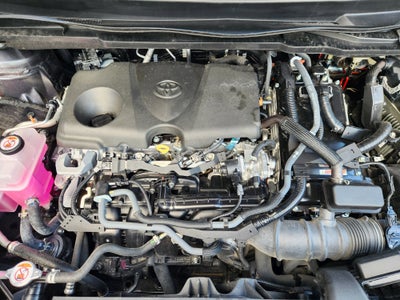 2025 Toyota Sienna Limited 7 Passenger