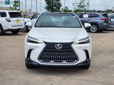 2024 Lexus NX 350h Luxury