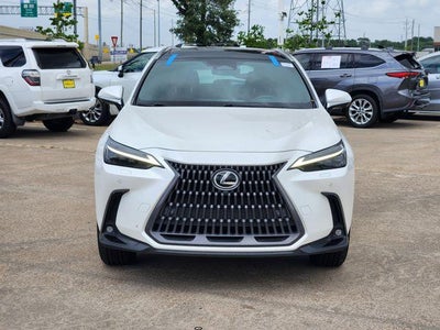 2024 Lexus NX 350h Luxury