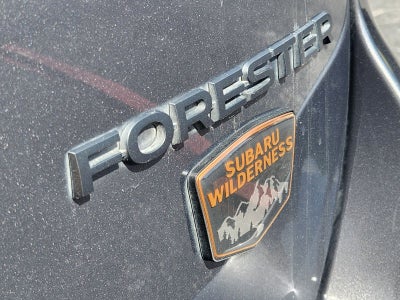 2023 Subaru Forester Wilderness