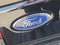 2025 Ford Super Duty F-250 Platinum