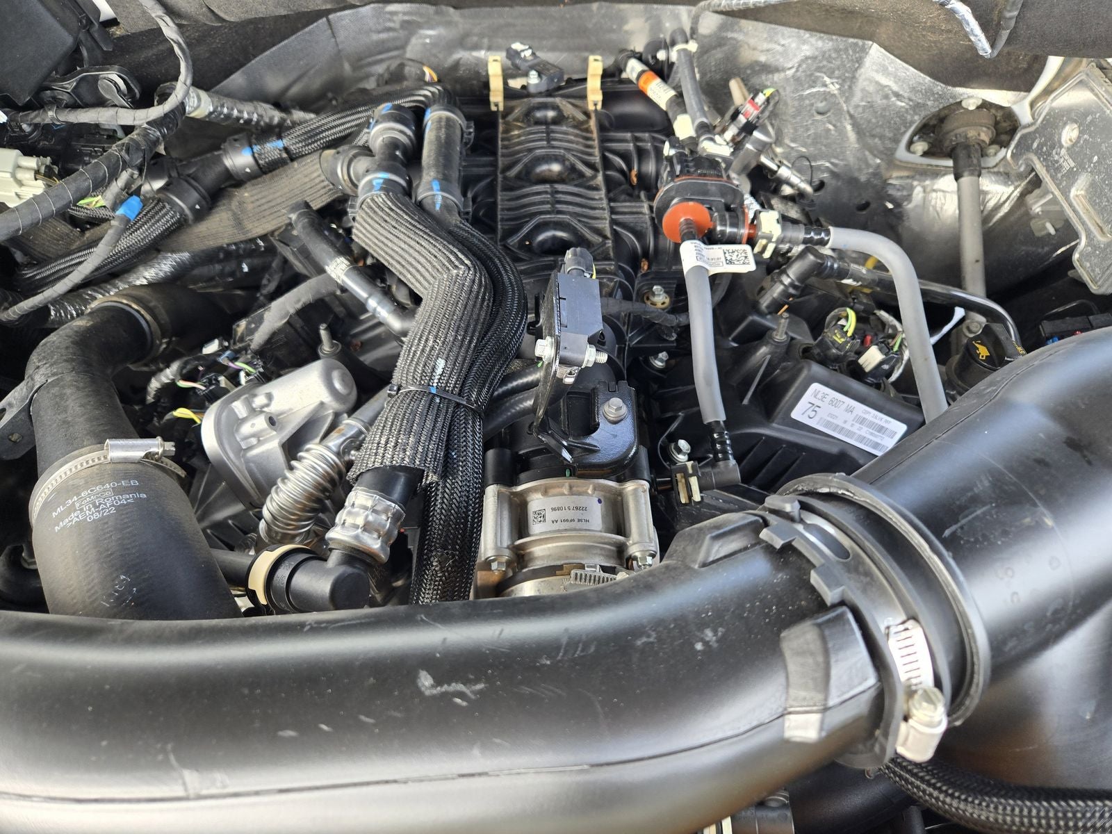 2022 Ford Expedition XLT