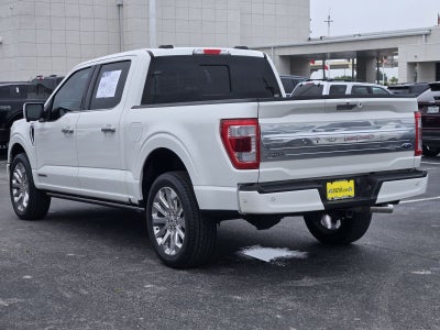 2023 Ford F-150 Limited