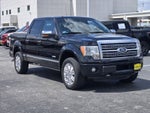 2011 Ford F-150 Platinum