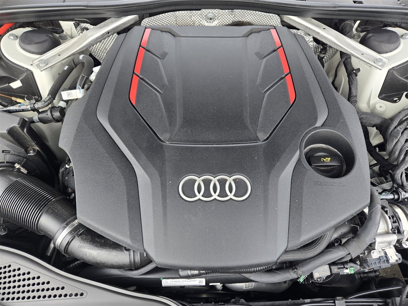 2024 Audi S5 Sportback Premium Plus quattro