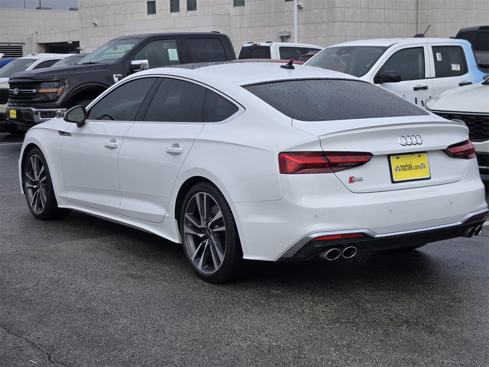 2024 Audi S5 Sportback Premium Plus quattro