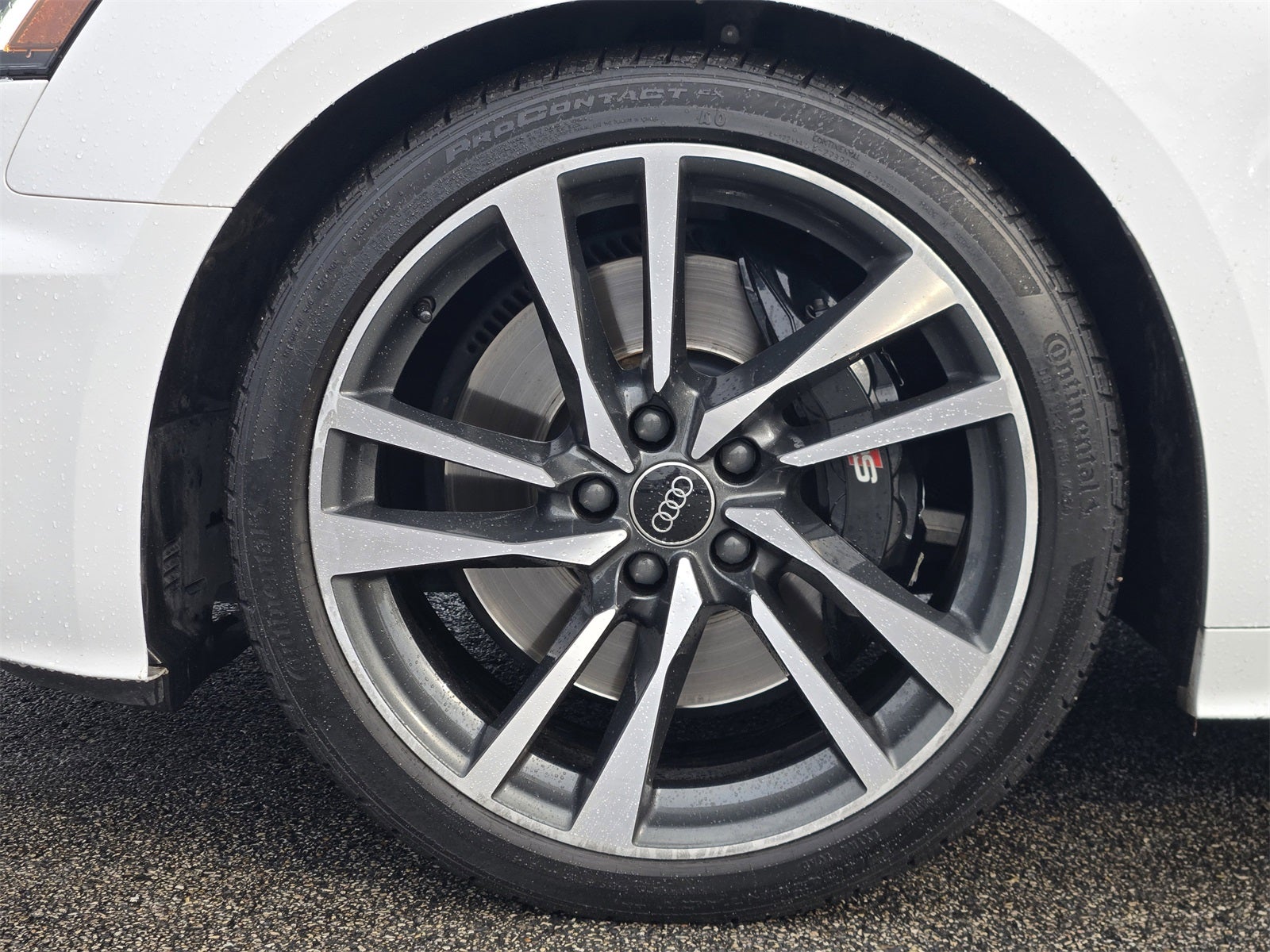 2024 Audi S5 Sportback Premium Plus quattro