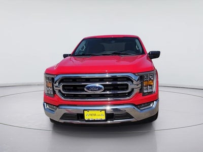 2023 Ford F150 Pu XL