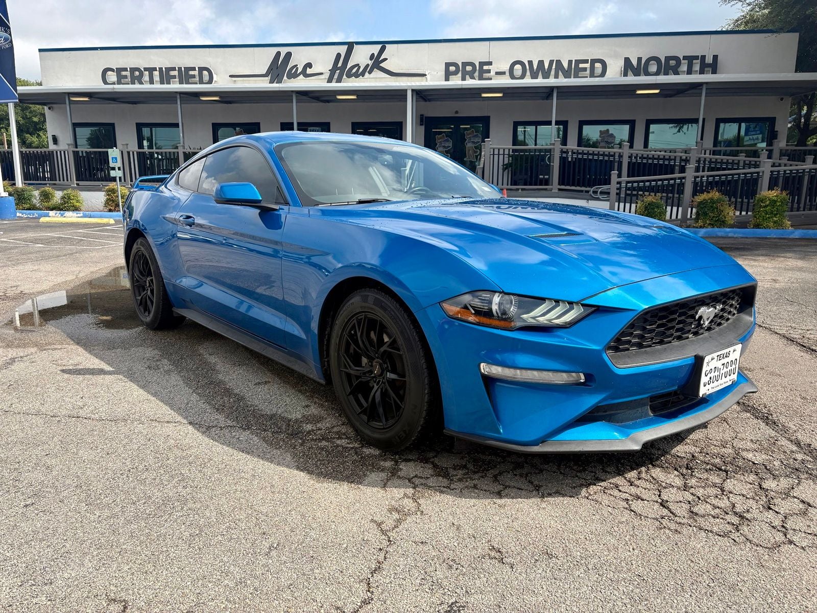 2019 Ford Mustang