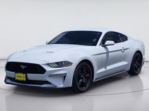 2019 Ford Mustang EcoBoost