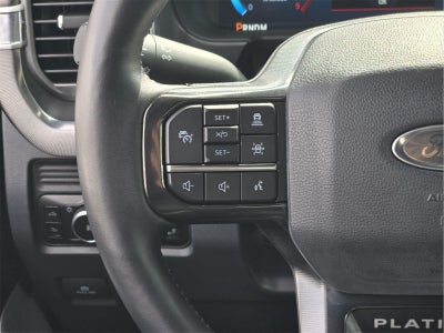 2025 Ford Super Duty F-250 Platinum