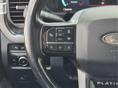 2024 Ford Super Duty F-250 Platinum