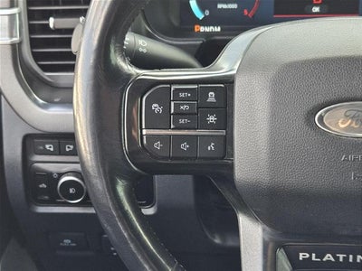 2024 Ford Super Duty F-250 Platinum