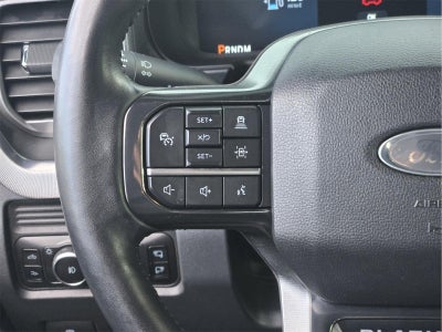 2025 Ford Super Duty F-350 Drw Platinum