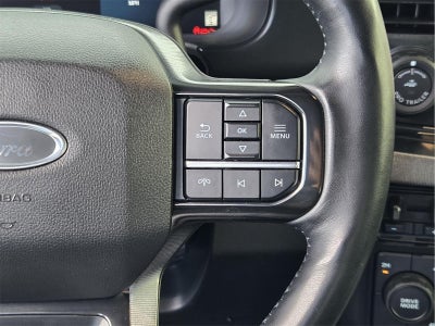 2025 Ford Super Duty F-350 Drw Platinum