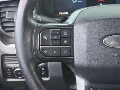 2025 Ford Super Duty F-350 Drw Platinum