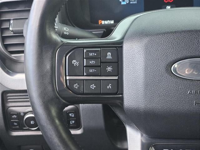 2025 Ford Super Duty F-350 Drw Platinum
