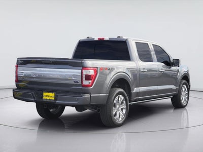 2021 Ford F-150 Platinum