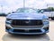 2025 Ford Mustang EcoBoost Premium Nite Pony