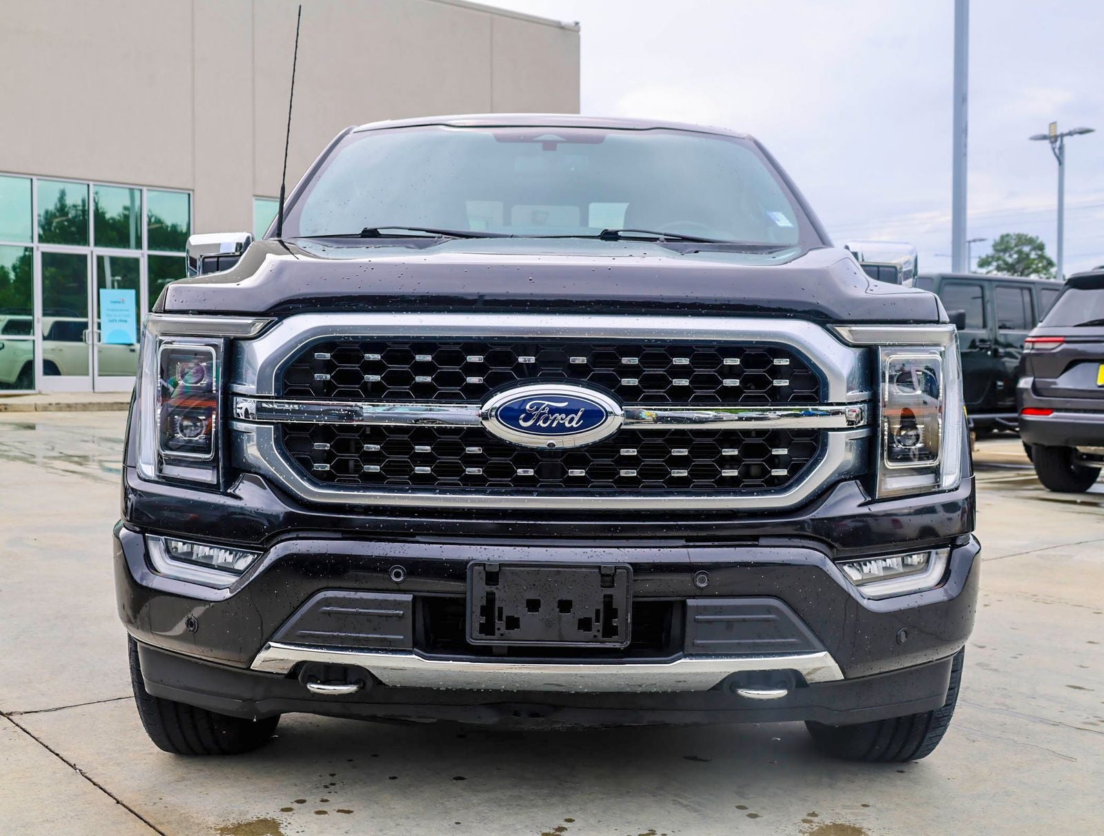 2022 Ford F-150 Platinum