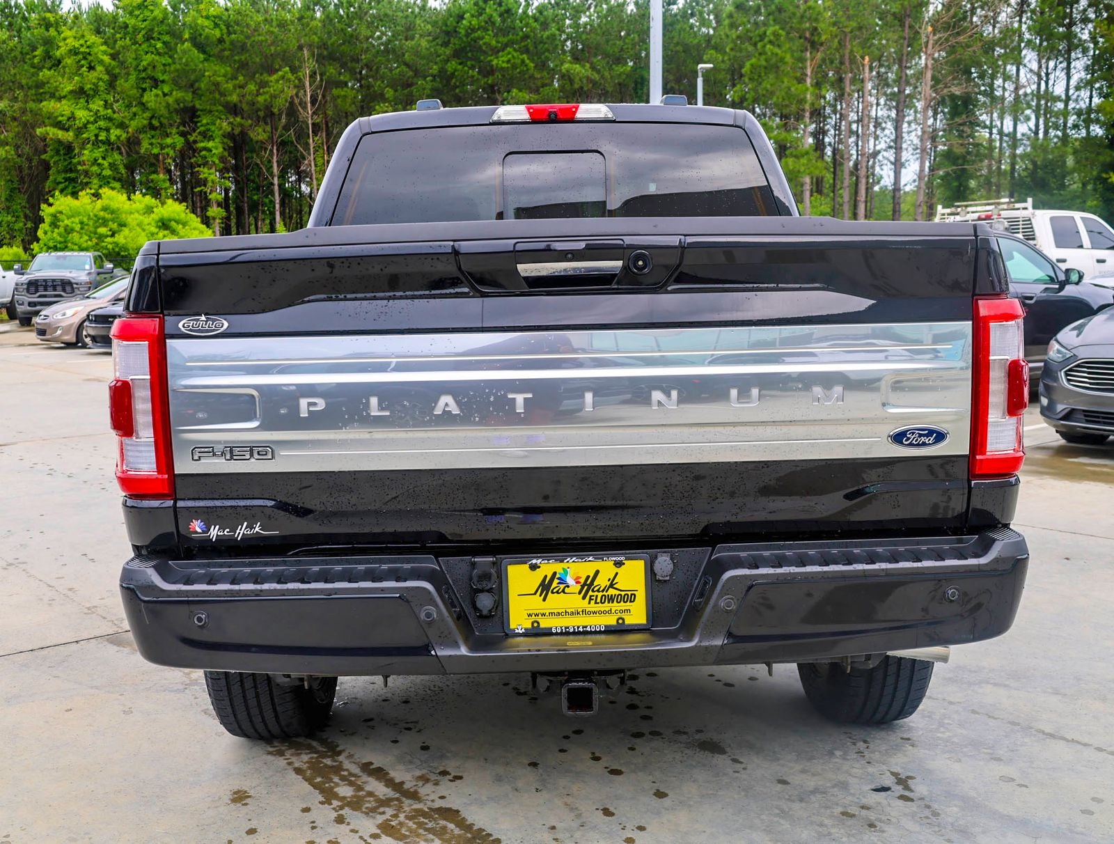 2022 Ford F-150 Platinum