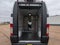 2025 RAM ProMaster 3500 EV Base