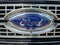 2017 Ford F-250SD Platinum