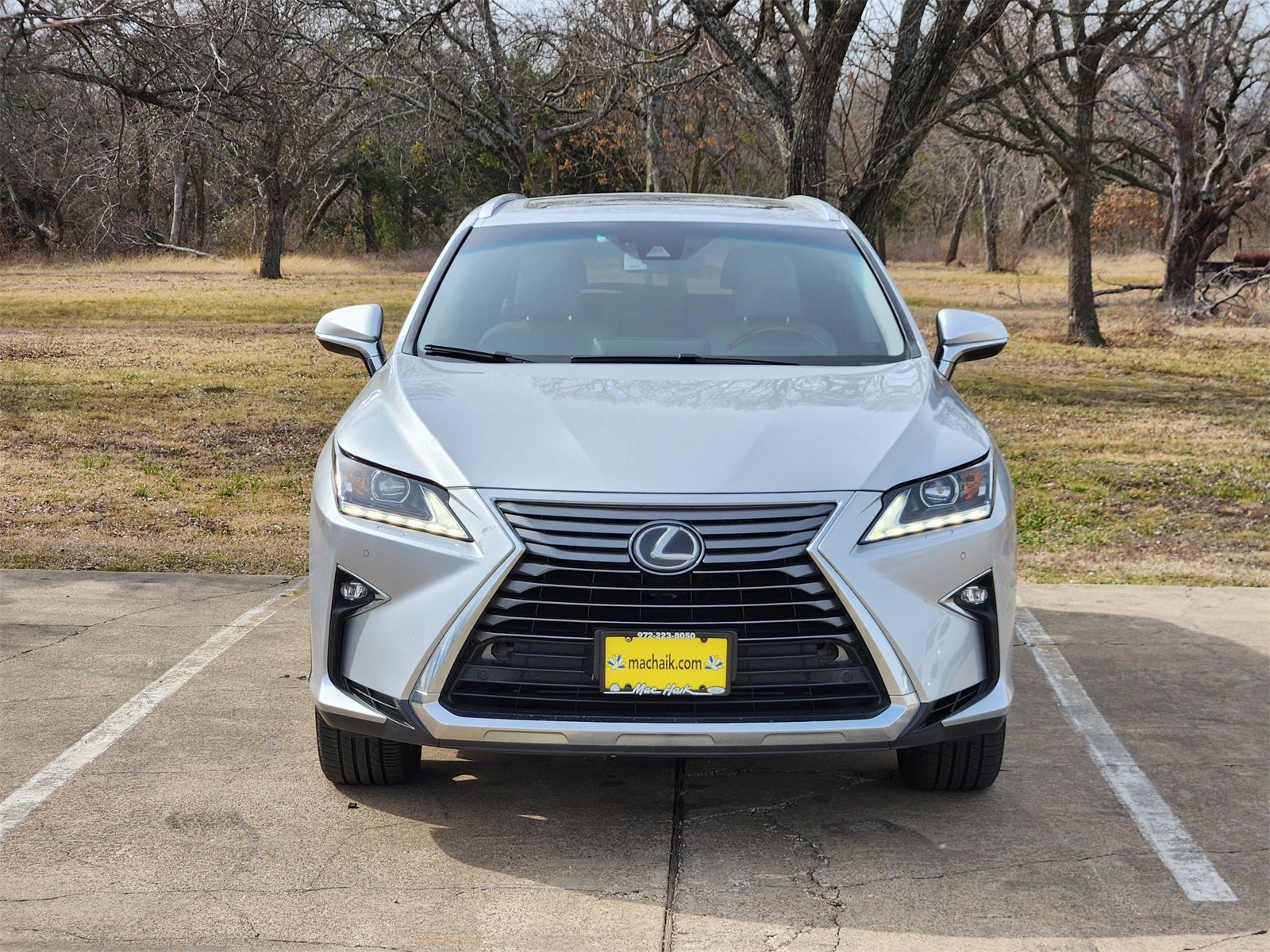 2019 Lexus RX 350L