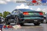 2019 Ford Mustang Bullitt