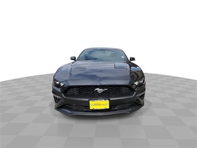 2019 Ford Mustang EcoBoost
