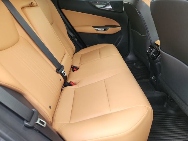 2025 Lexus NX 250 Premium