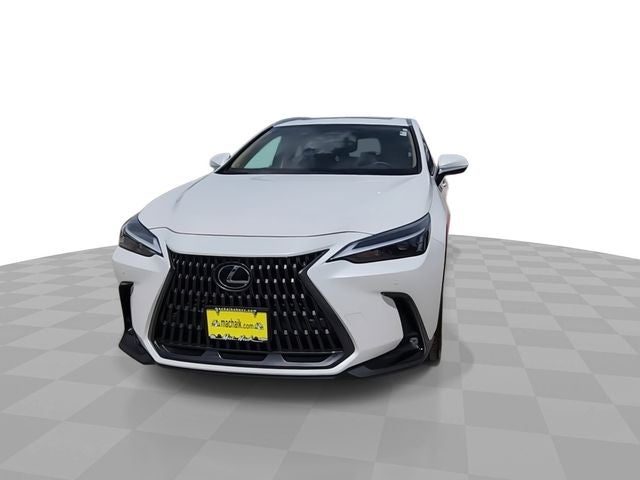 2025 Lexus NX 250 Premium