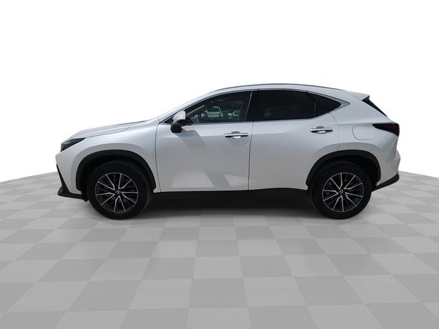 2025 Lexus NX 250 Premium