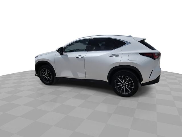 2025 Lexus NX 250 Premium