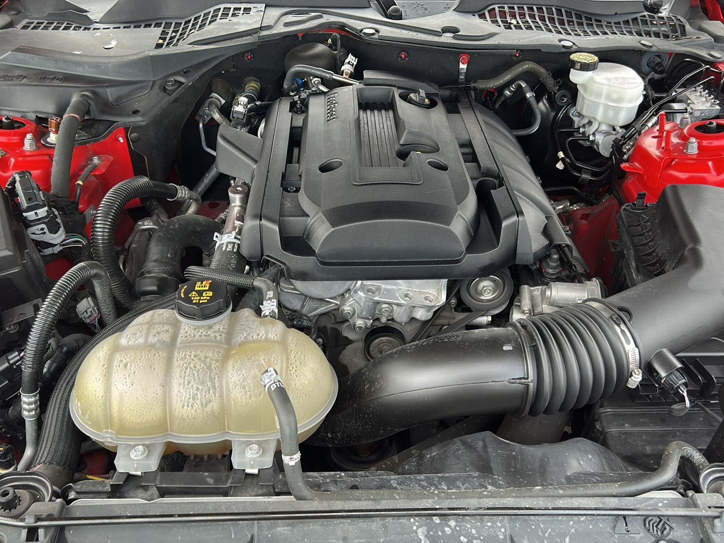 2020 Ford Mustang EcoBoost