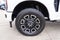 2025 Ford F-250SD Platinum
