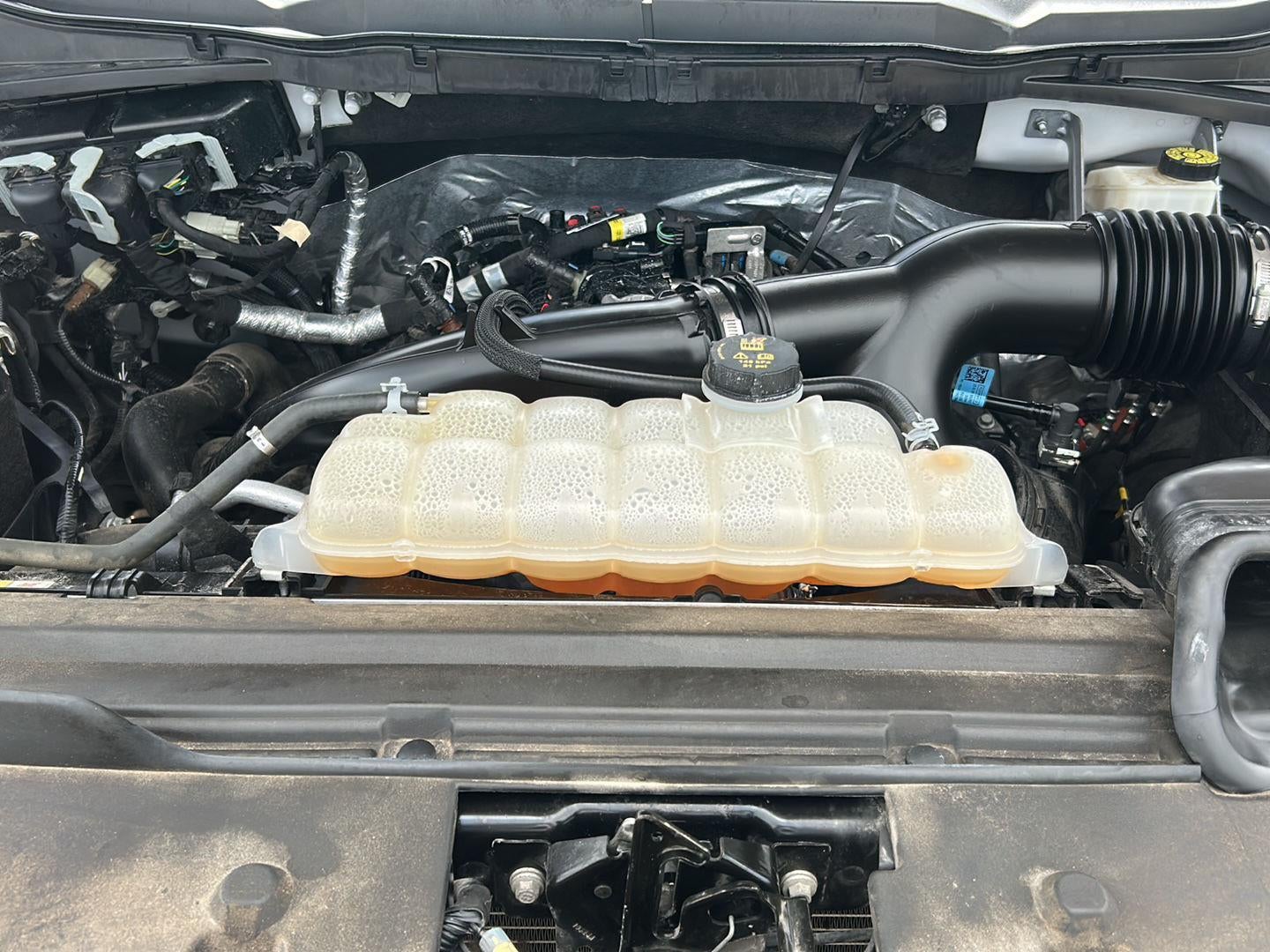 2024 Ford F150 PU XLT