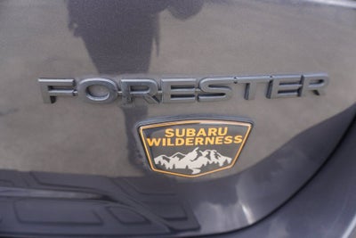 2023 Subaru Forester Wilderness