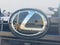 2025 Lexus GX GX 550 Luxury