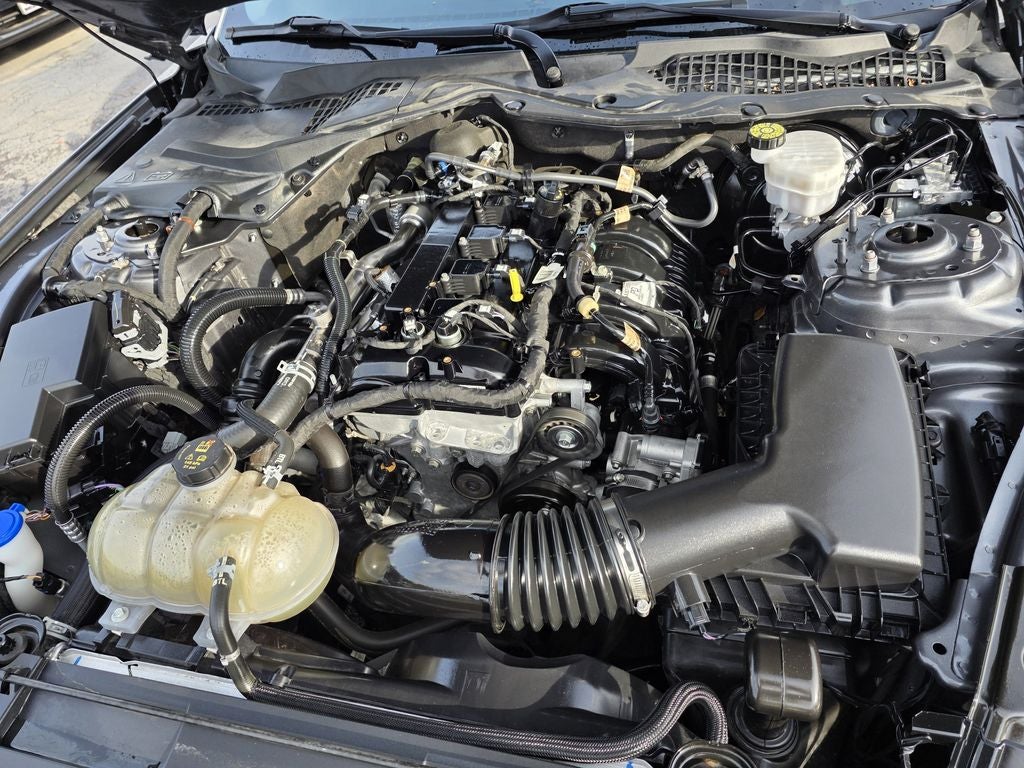 2023 Ford Mustang EcoBoost